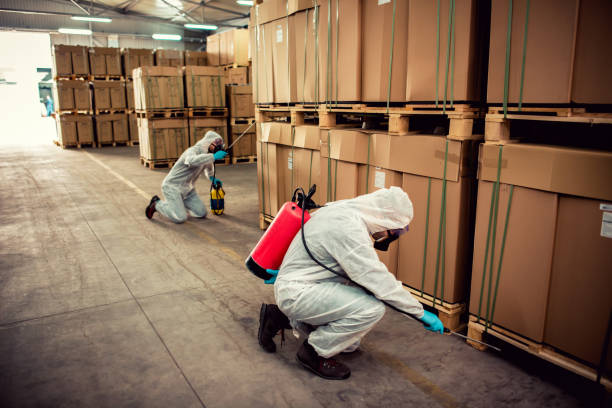 Best Wasp Removal Services  in Brookville, OH