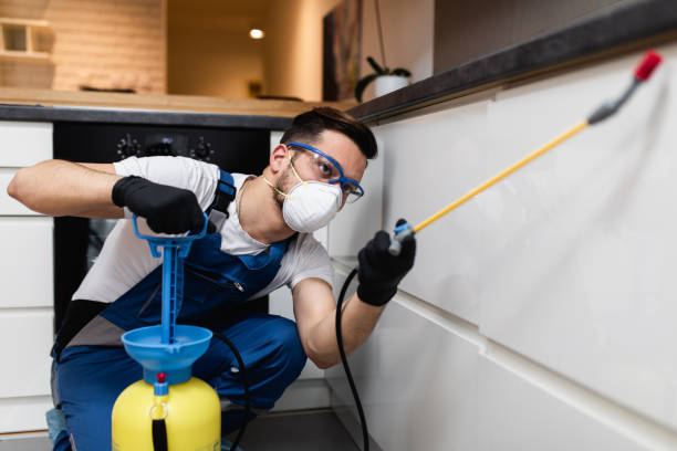 Best Wasp Removal Services  in Brookville, OH