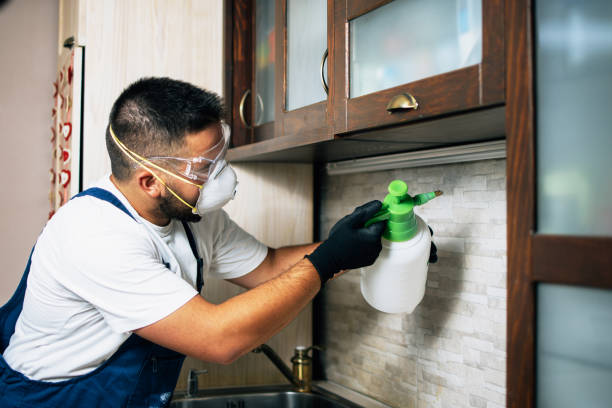 Best Pest Control Near Me  in Brookville, OH