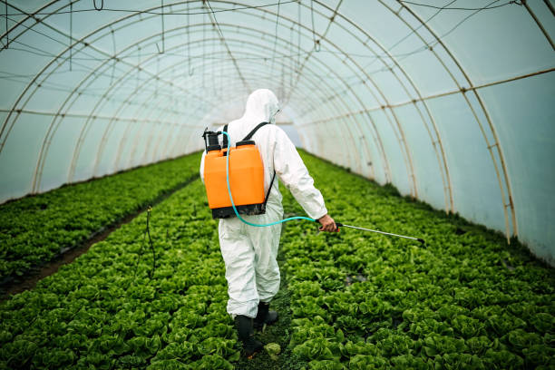 Best Local Pest Control Services  in Brookville, OH