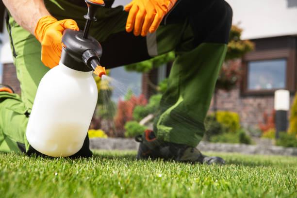 Best Ant Control Services  in Brookville, OH