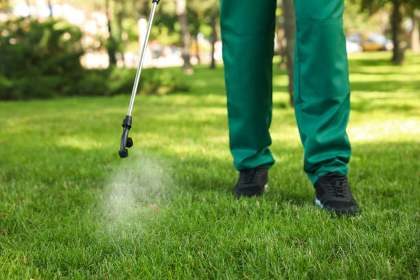 Best Exterminator Services  in Brookville, OH