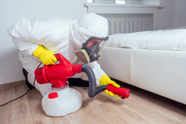 Best Flea Control Services  in Brookville, OH