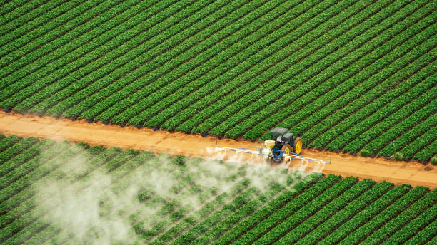 Best Ant Control Services  in Brookville, OH