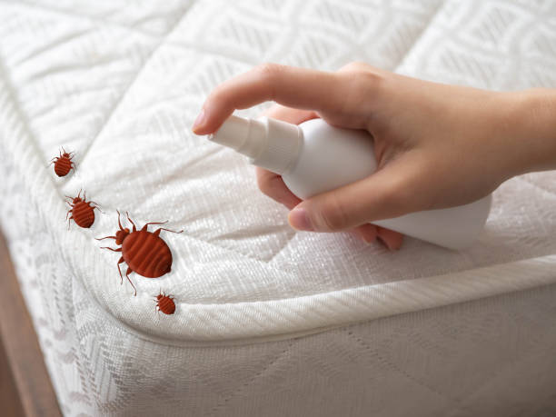 Best Pest Removal Services  in Brookville, OH