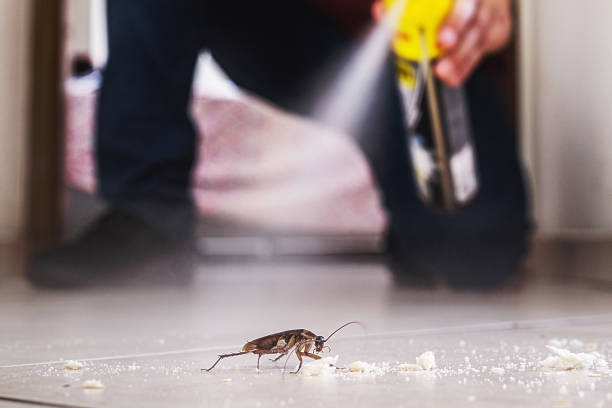 Best Emergency Pest Control  in Brookville, OH