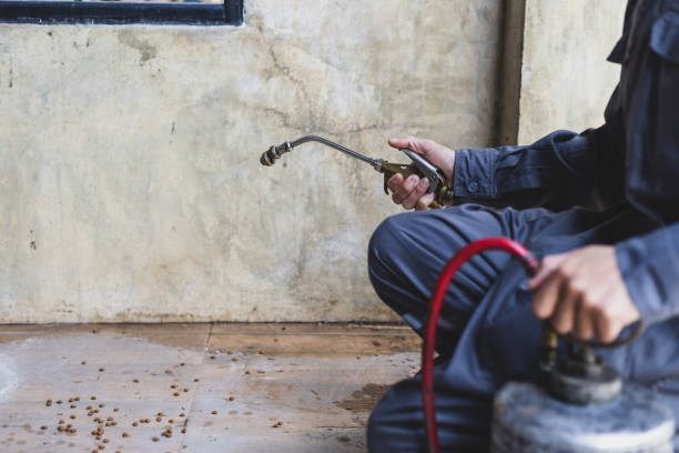 Best Pest Control Near Me  in Brookville, OH